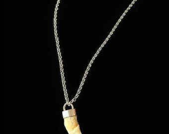 Canine Tooth Necklace