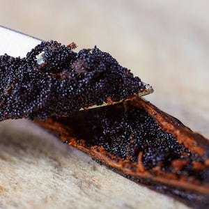 Vanilla Bean Seeds