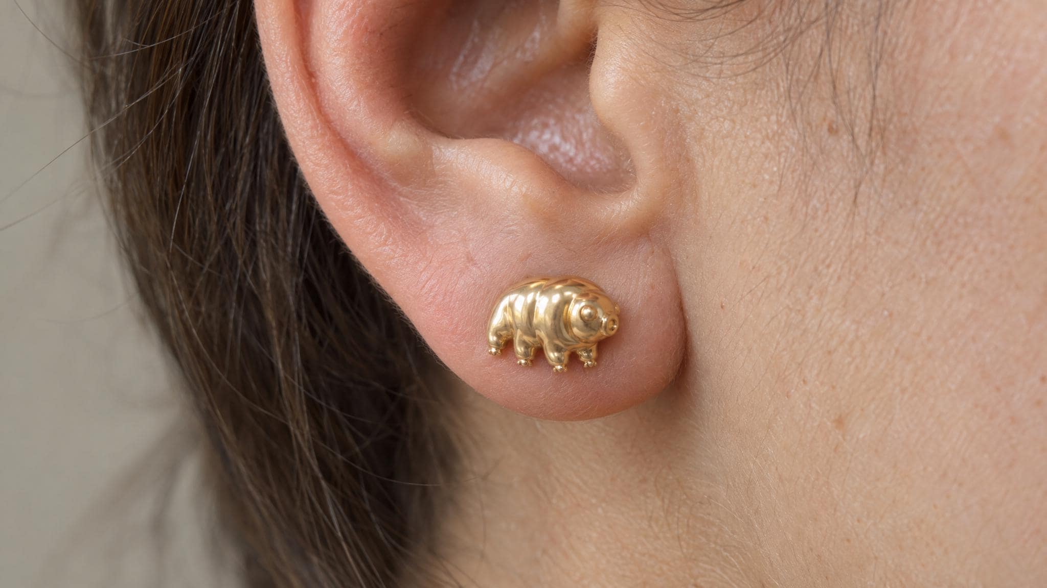 14k Solid Gold Tardigrade Earrings: Micro Animal Jewelry Studs in Yellow Gold, Rose, White, or Silver