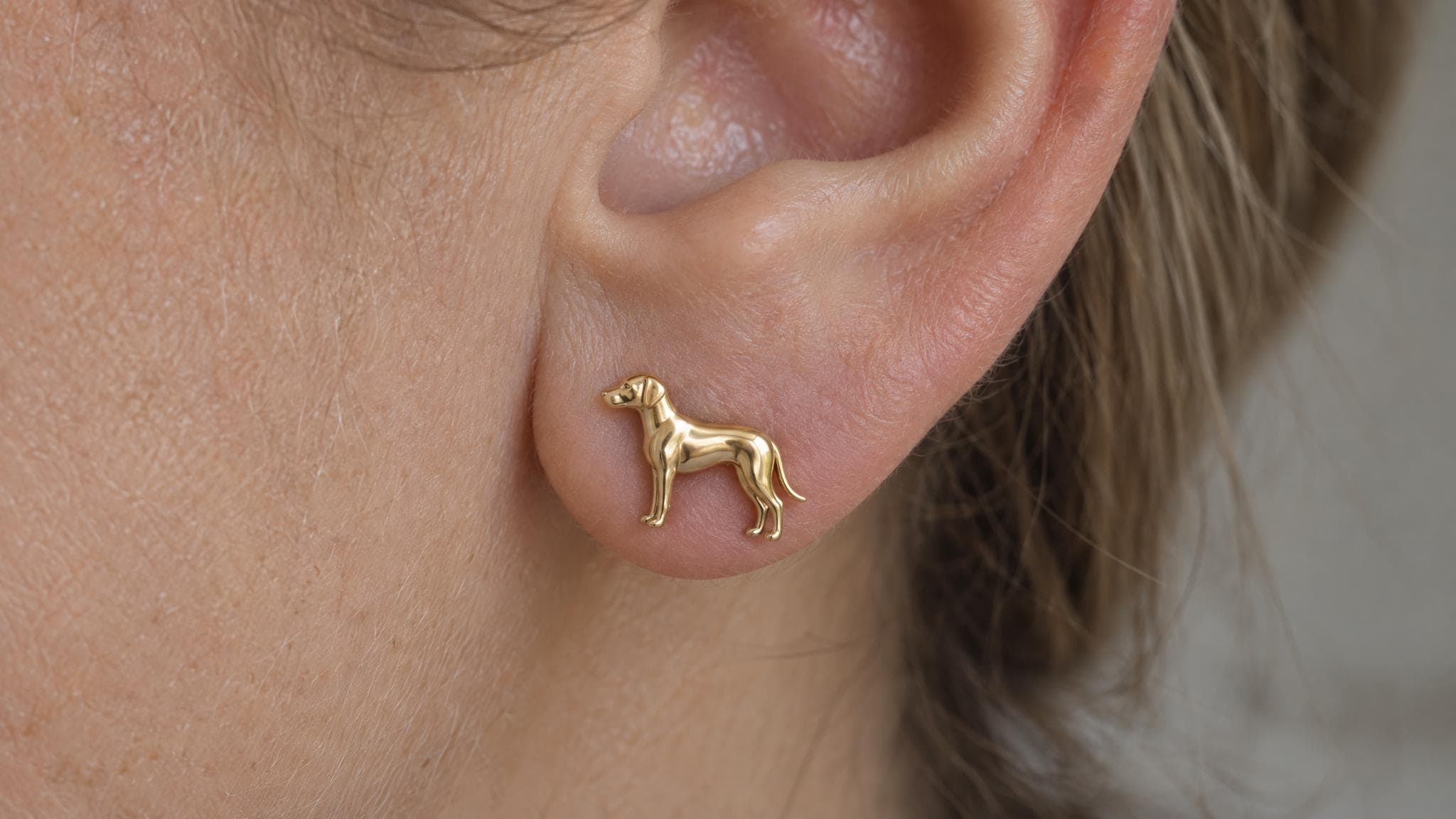 14k Solid Gold Rhodesian Ridgeback Earrings: Ridgeback Dog Jewelry Studs in Yellow Gold, Rose, White, or Silver