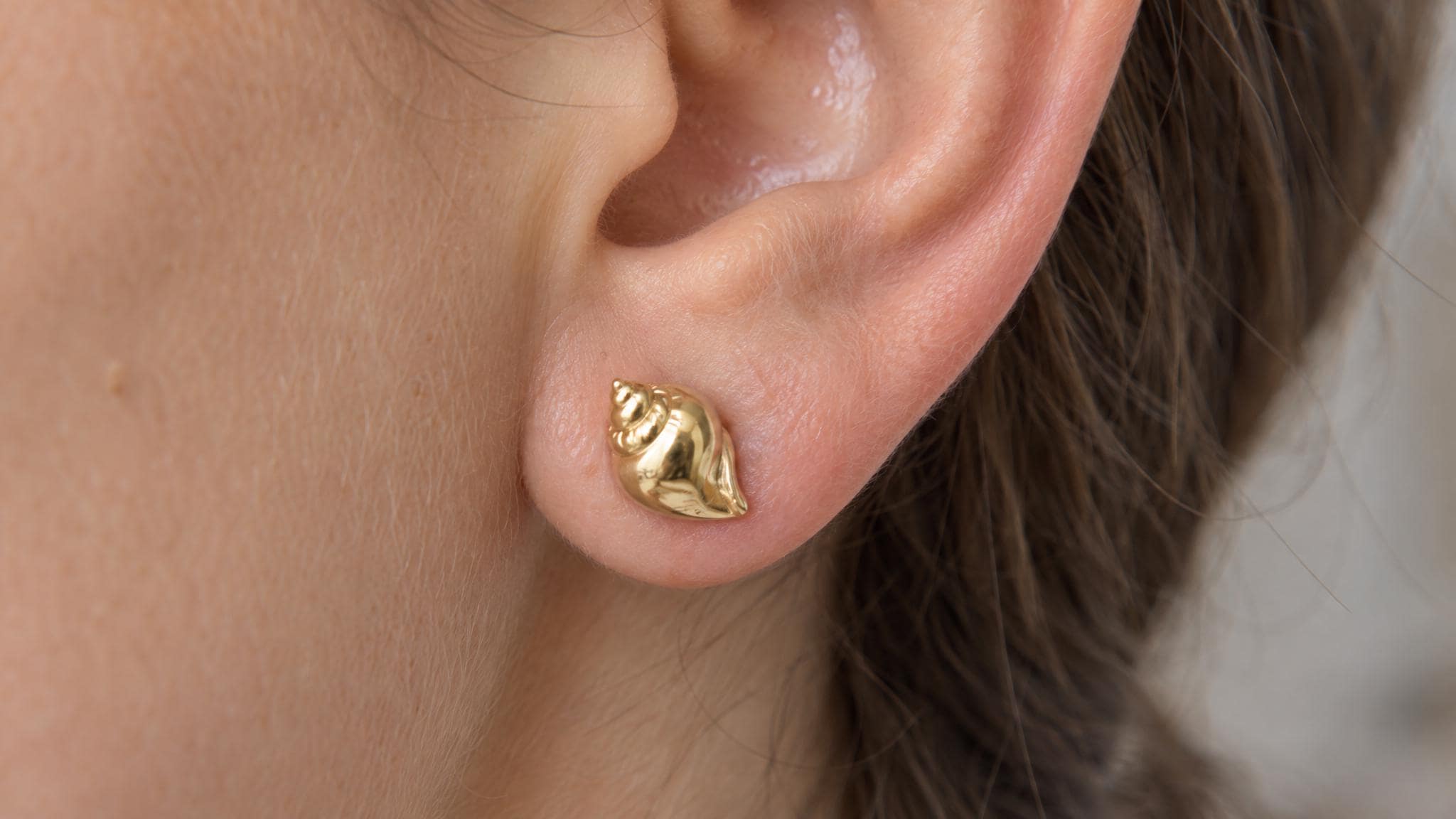 14k Solid Gold Conch Shell Earrings: Ocean Jewelry Studs in Yellow Gold, Rose, White, or Silver