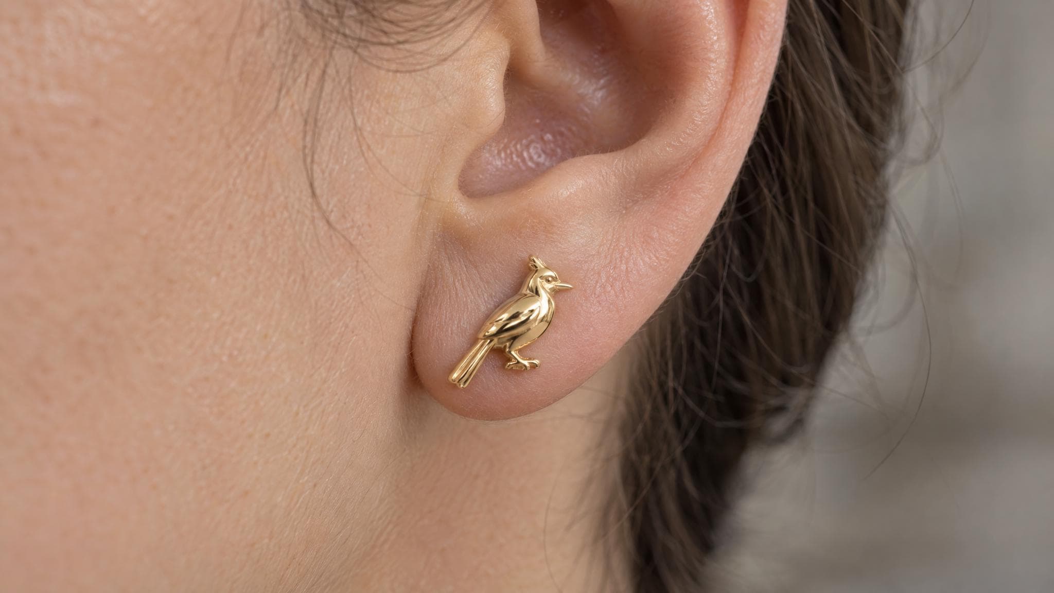 14k Solid Gold Blue Jay Earrings: Bird Jewelry Studs in Yellow Gold, Rose, White, or Silver
