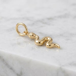 Puede incluir: Un colgante de metal dorado pulido con forma de serpiente delgada y sinuosa. El dije presenta una superficie lisa y reflectante e incluye una anilla circular en la parte superior para sujetarlo a una cadena o cordón, con un diseño curvo.