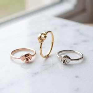 Verfijnde massief gouden ring met afbeelding van een Duitse korthaarpointer in geel-, wit- of roségoud.