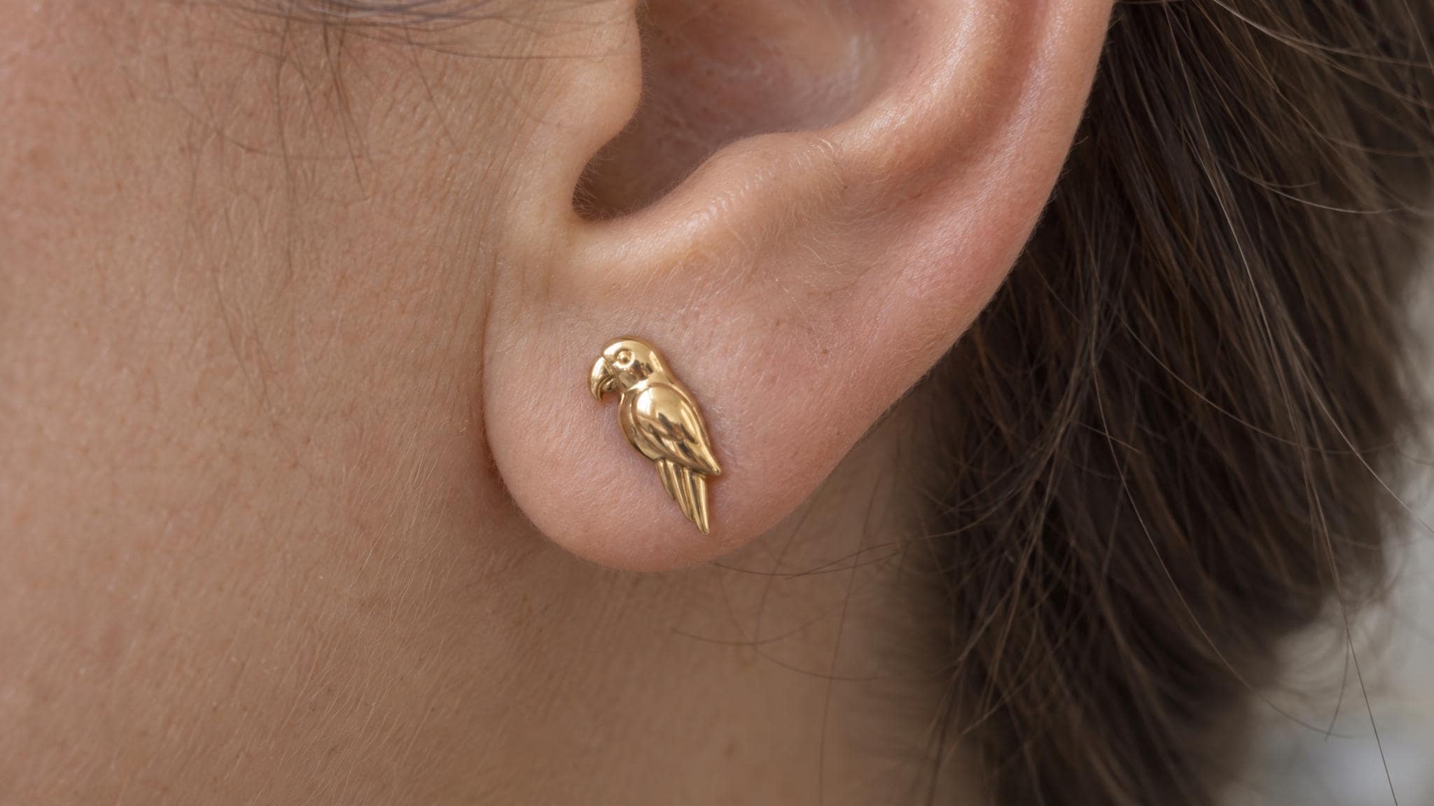 14k Solid Gold Macaw Earrings: Tropical Bird Jewelry Studs in Yellow Gold, Rose, White, or Silver