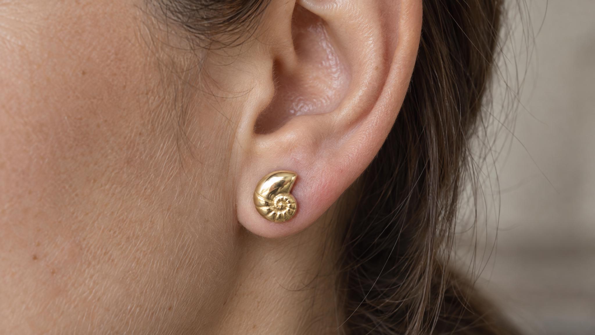 14k Solid Gold Nautilus Shell Earrings: Ocean Jewelry Studs in Yellow Gold, Rose, White, or Silver