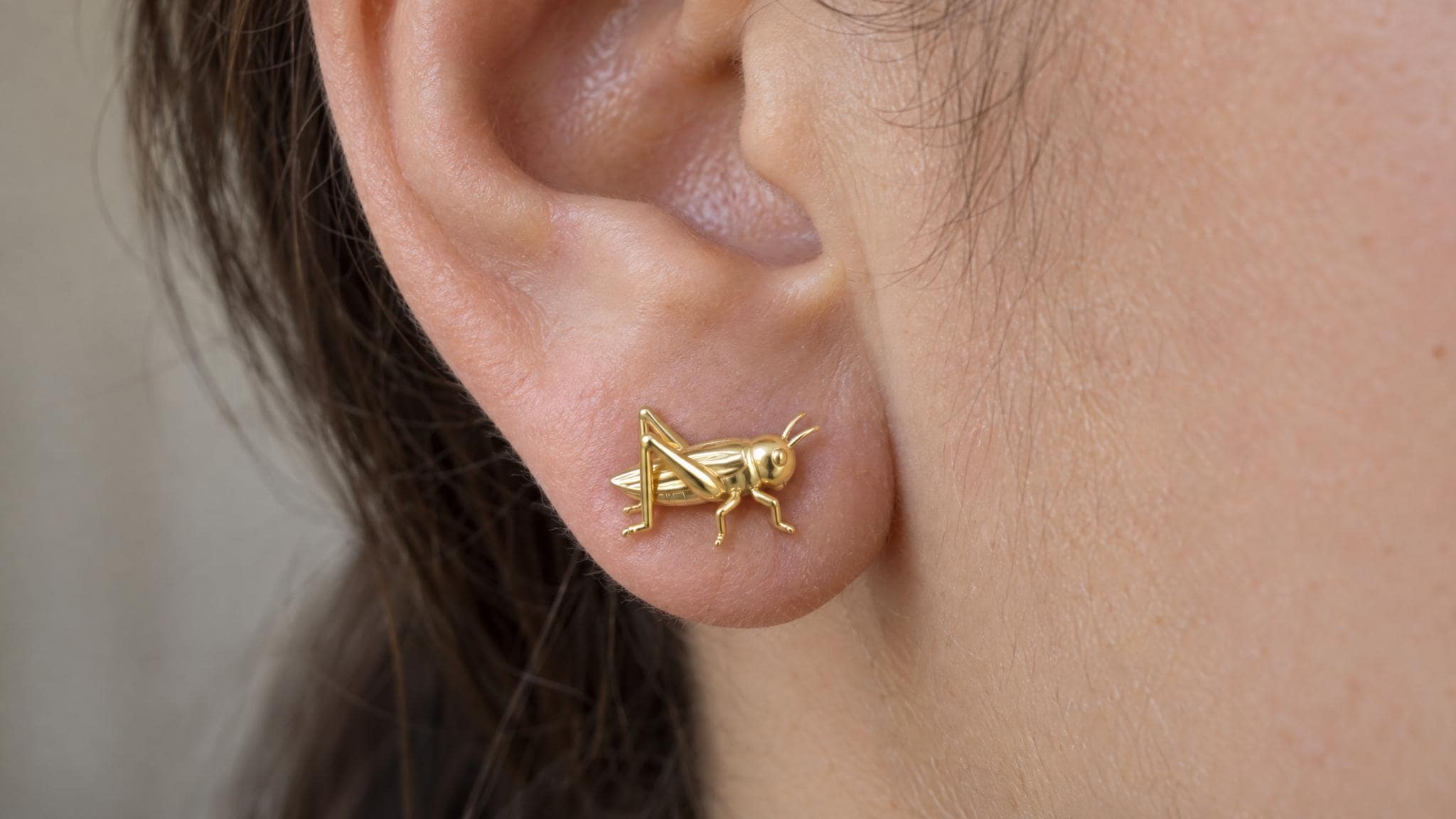 14k Solid Gold Cricket Insect Earrings: Nature Inspired Studs in Yellow Gold, Rose, White, or Silver