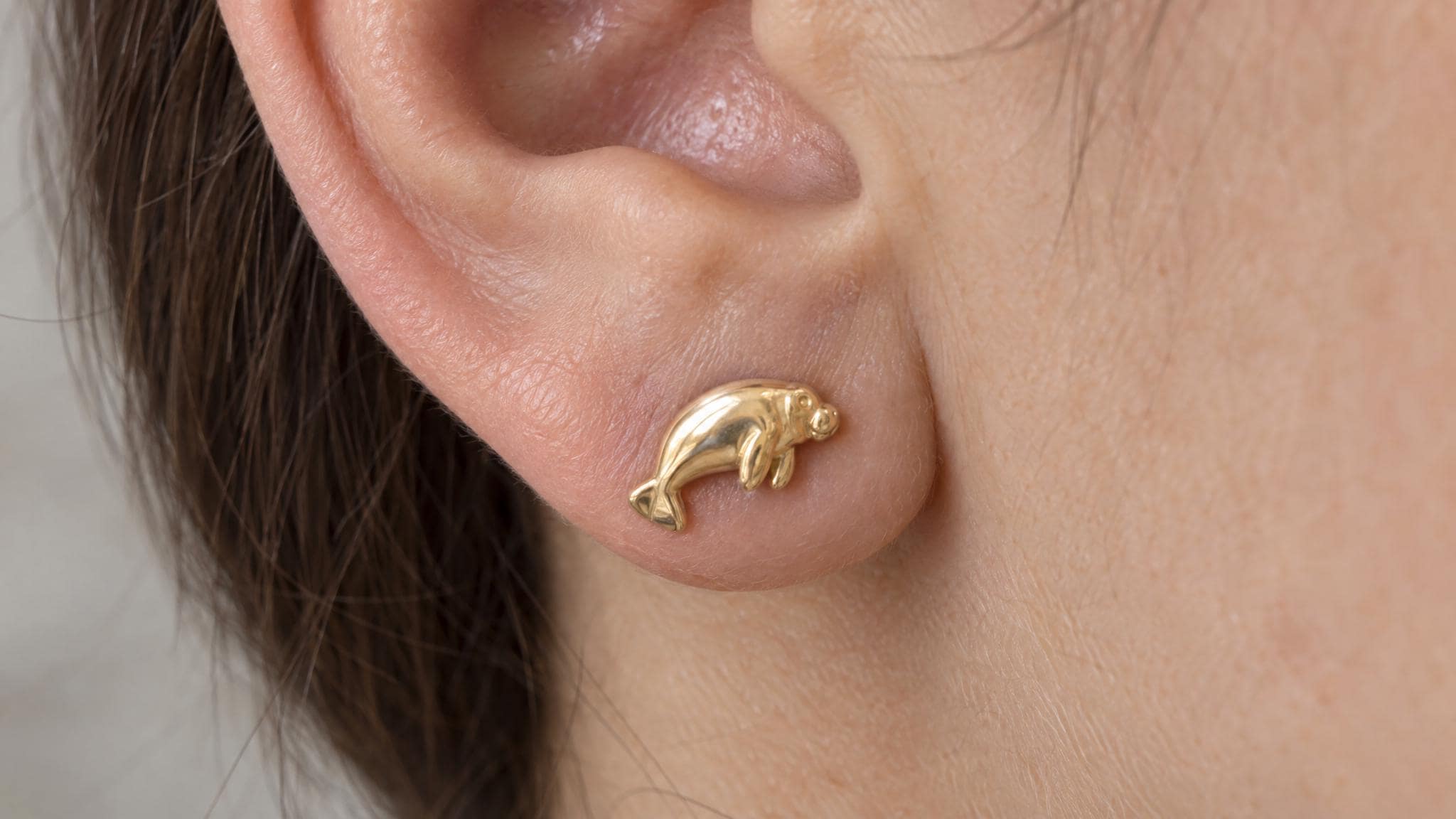 14k Solid Gold Manatee Earrings: Gentle Sea Mammal Jewelry Studs in Yellow Gold, Rose, White, or Silver