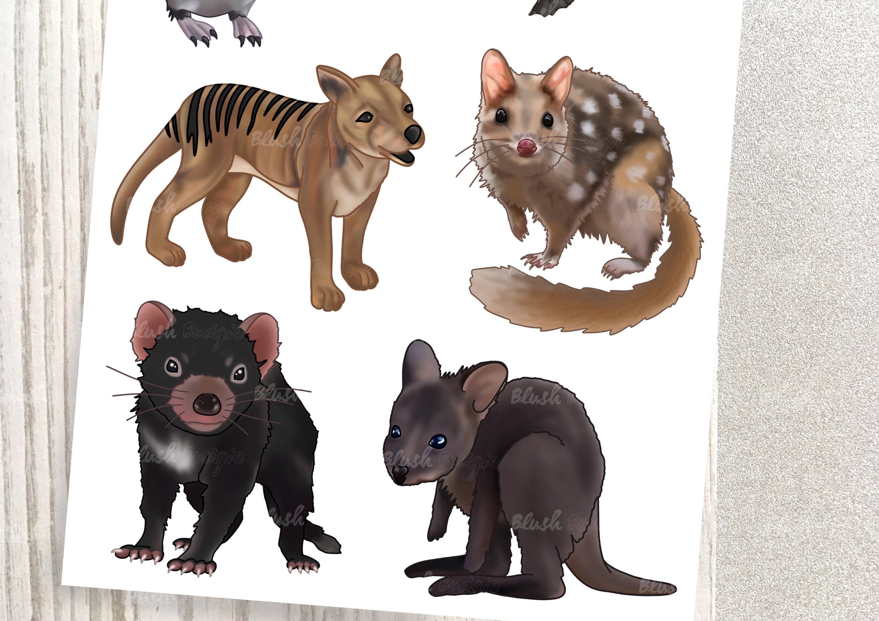 Australian Animals Stickers Tasmanian Animal Stickers Etsy Australia