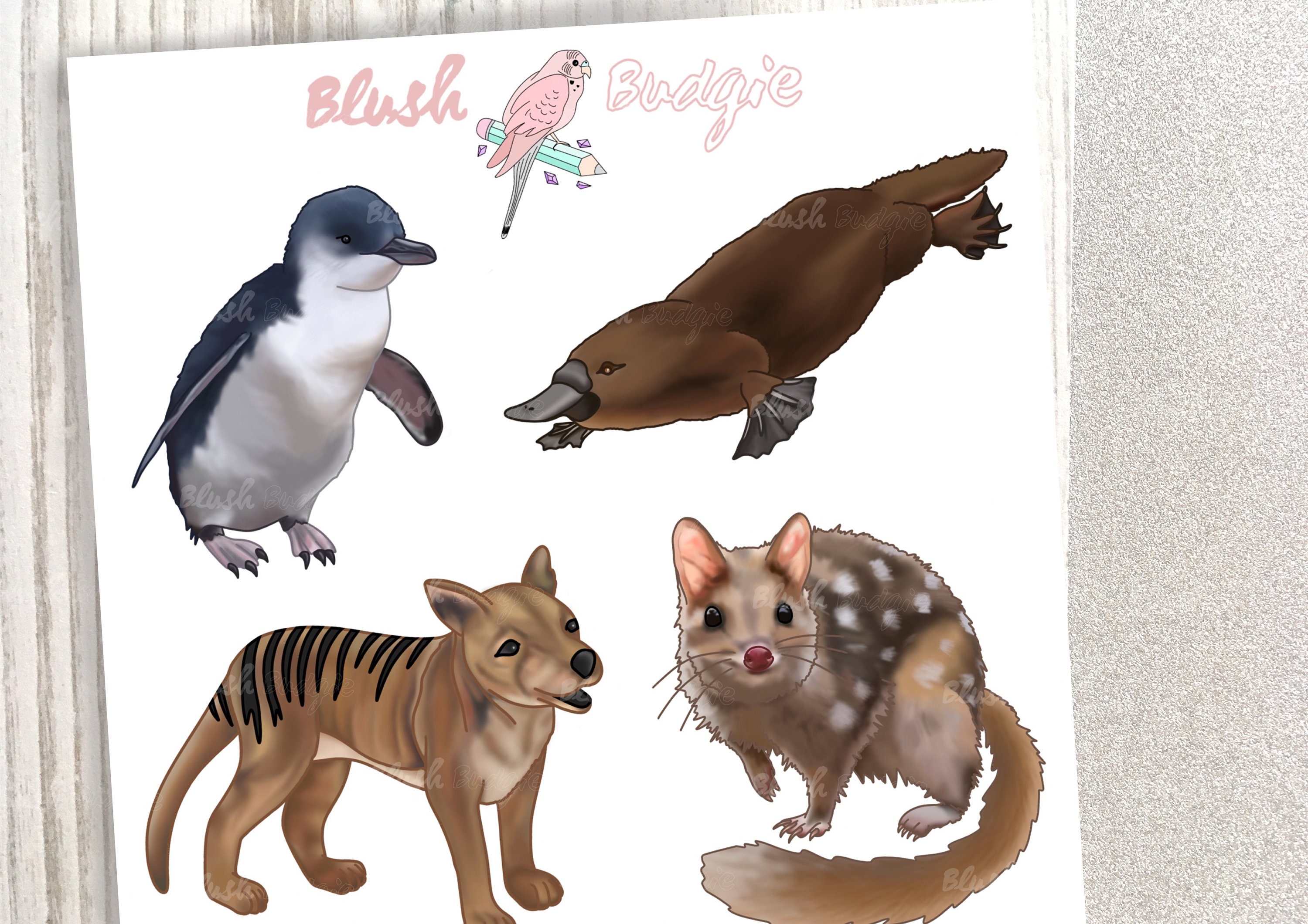 Australian Animals Stickers Tasmanian Animal Stickers Etsy Australia
