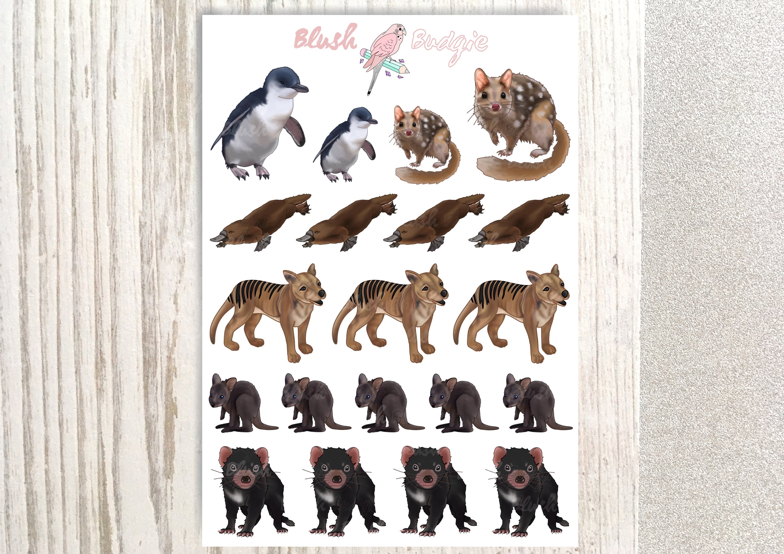 Australian Animals Stickers Tasmanian Animal Stickers Etsy Australia