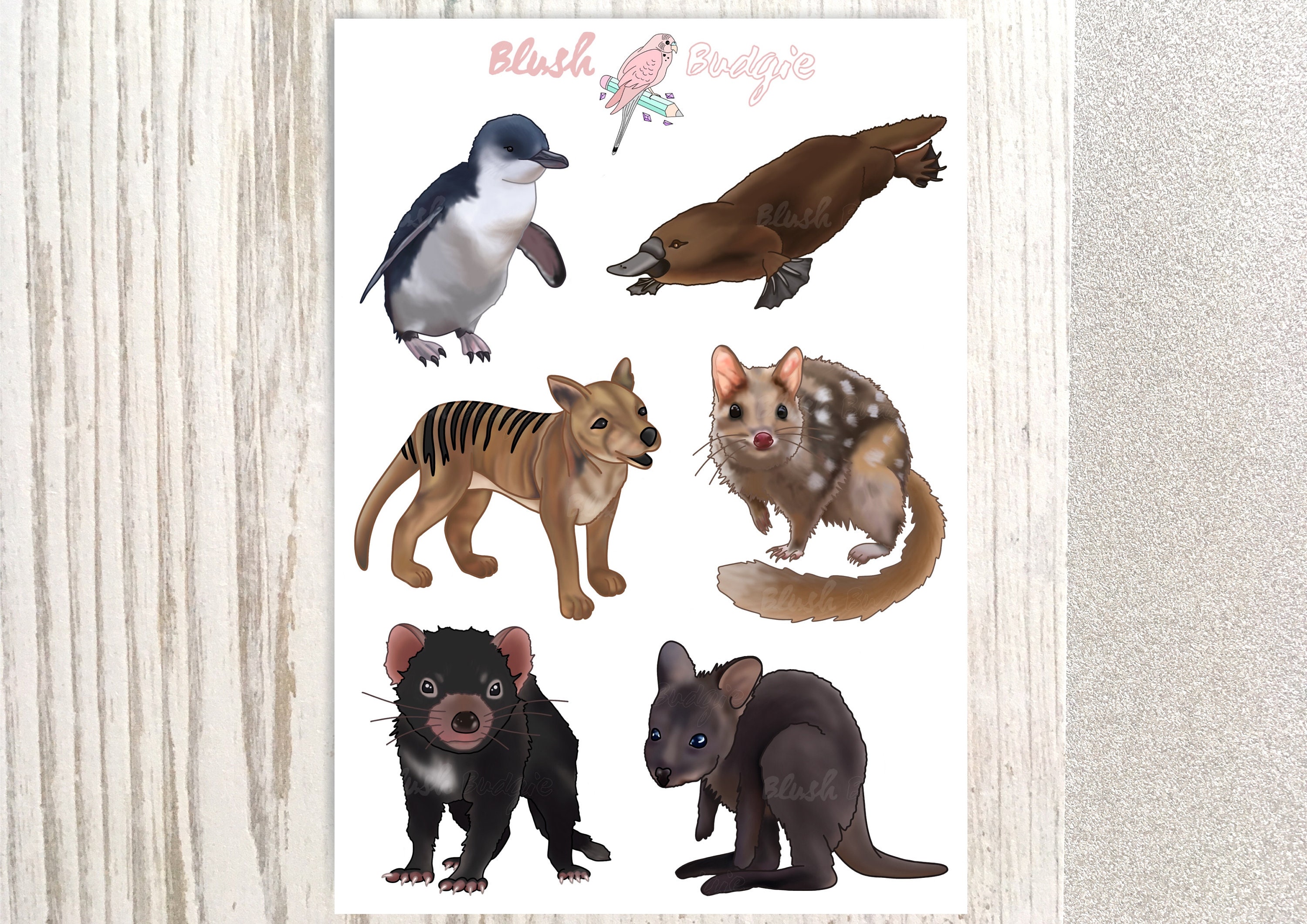 Australian Animals Stickers Tasmanian Animal Stickers Etsy Australia