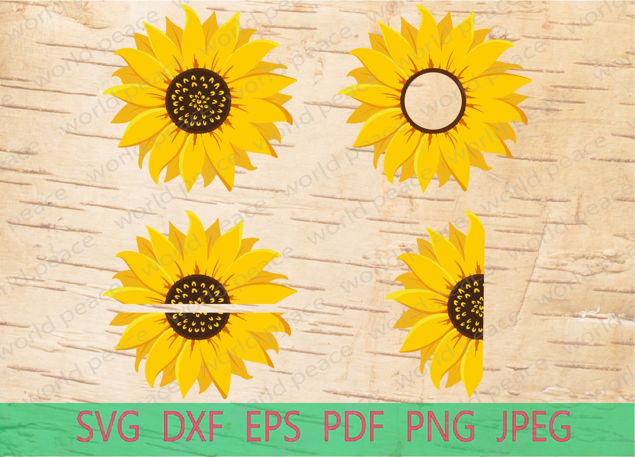 Download Sunflower SVG files. Half sunflowers SVG. Floral clipart 4 ...