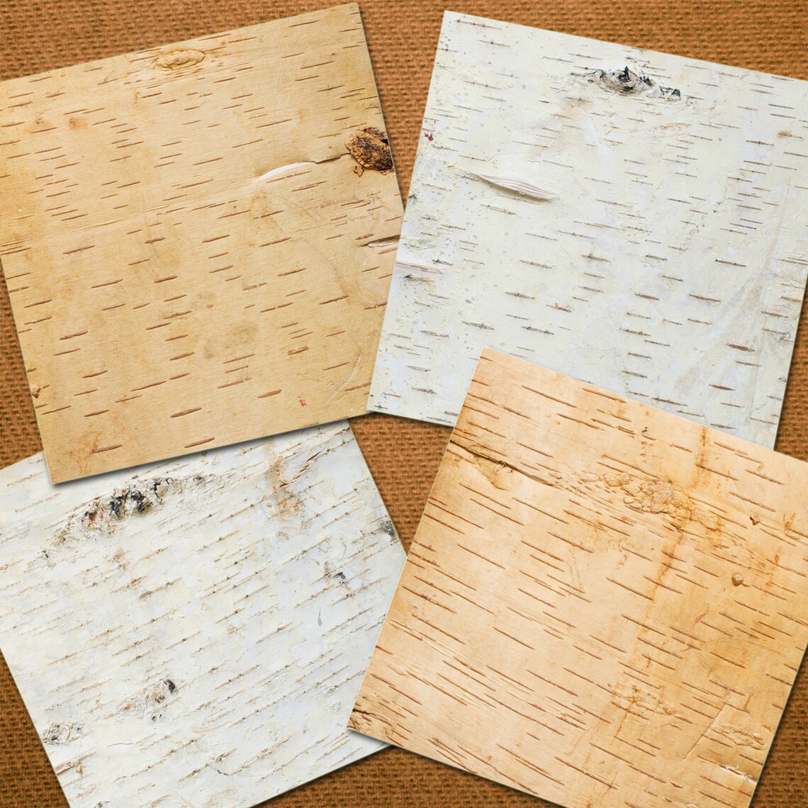 Birch Bark digital paper. Tree bark textures instant download. Etsy