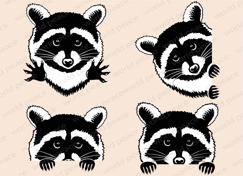 Download Raccoon SVG files for Cricut Woodland animals SVG DXF. art | Etsy