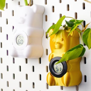 Puede incluir: Dos macetas con forma de oso, una blanca y otra dorada, cada una con una pantalla digital. La maceta blanca contiene una planta verde con una hoja grande. La maceta dorada tiene hojas verdes. Ambas están montadas en un panel perforado blanco.