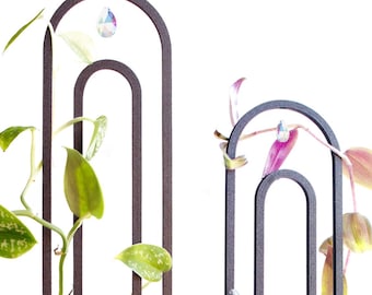 Arched plant support | Suncatcher | 3D printed | Available in many colors | Climbing plants, Monstera & greenhouse decor | Pothos | Philodendron