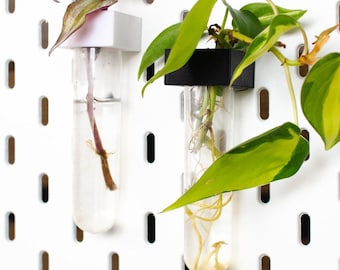 Test tube with holder for SKÅDIS perforated board | 30 ml plant glass | 3D-printed PLA holder | Cuttings, offshoots & mini vase