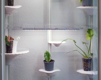 B-Stock - Mushroom-shaped shelves for IKEA Milsbo display cabinet - Greenhouse - Milsbo conversion - different colors - gift for plant lovers