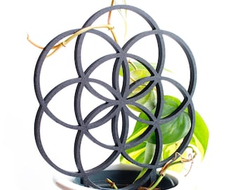 Flower of Life Plant Support | Available in many colors | Climbing plants, Monstera & Greenhouse Decor | Pothos | Philodendron