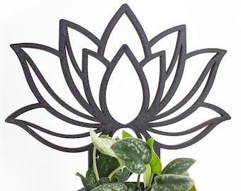 Lotus plant support | Available in many colors | Climbing plants, Monstera & greenhouse decor | Pothos | Philodendron