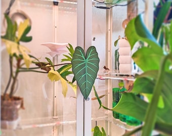 MILSBO Handles Alocasia Leaf | Variegata, Halfmoon, Pink or Custom Color | Plant Display Case Upgrade | Urban Jungle Decor