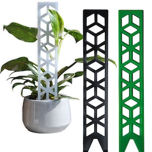 Acrylic glass climbing support for climbing plants - climbing aid - Monstera - Pothos - Philodendron