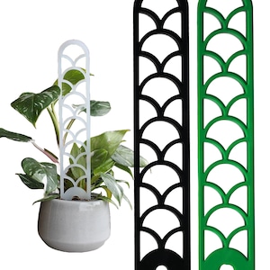 Acrylic glass climbing support for climbing plants - climbing aid - Monstera - Pothos - Philodendron