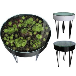 Eleganter Beistelltisch zum Bepflanzen und Dekorieren | Beistelltisch |  Rund mit Glasplatte | Schwarze Metallbeine