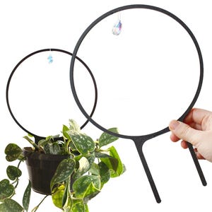 May include: Two black metal plant hoops, each with a crystal pendant. One supports a potted plant with green and silver foliage. The other is held by a hand. The plant pot is black.