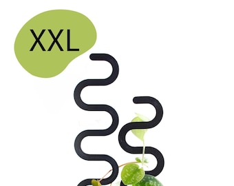 XXL Expandable S-Shaped Plant Support | Available in Many Colors | Climbing Plants, Monstera & Greenhouse Decor | Pothos | Philodendron