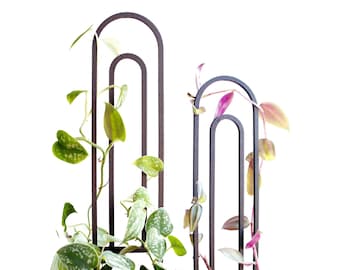 Arched plant support | 3D printed | Available in many colors | Climbing plants, Monstera & greenhouse decor | Pothos | Philodendron
