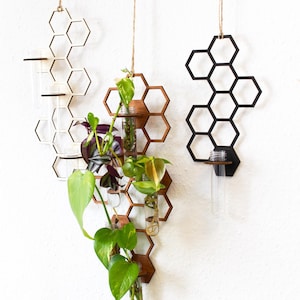 Op de afbeelding: Drie hangende, honingraatvormige houten plantenbakken met glazen reageerbuizen voor het tentoonstellen van planten. Eén is van natuurlijk hout, één is bruin gebeitst en één is zwart. De plantenbakken hangen aan touw tegen een witte achtergrond.