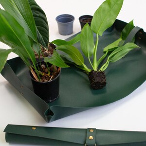 May include: A green leather tray with two potted plants and a third plant with its roots exposed. The tray has a rolled-up green leather mat next to it.