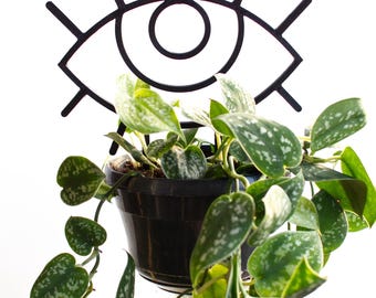 Eye-shaped plant support | 3D printed | Available in many colors | Climbing plants, Monstera & greenhouse decor | Pothos | Philodendron