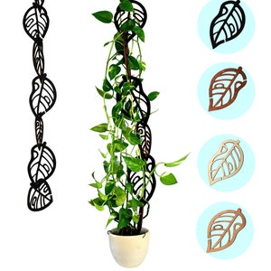 Rankhilfe für Kletterpflanzen erweiterbar  - Kletterhilfe - Monstera - Efeutute - Philodendron