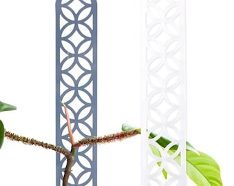Acrylic glass plant support for climbing plants - Climbing aid - Monstera - Pothos - Philodendron