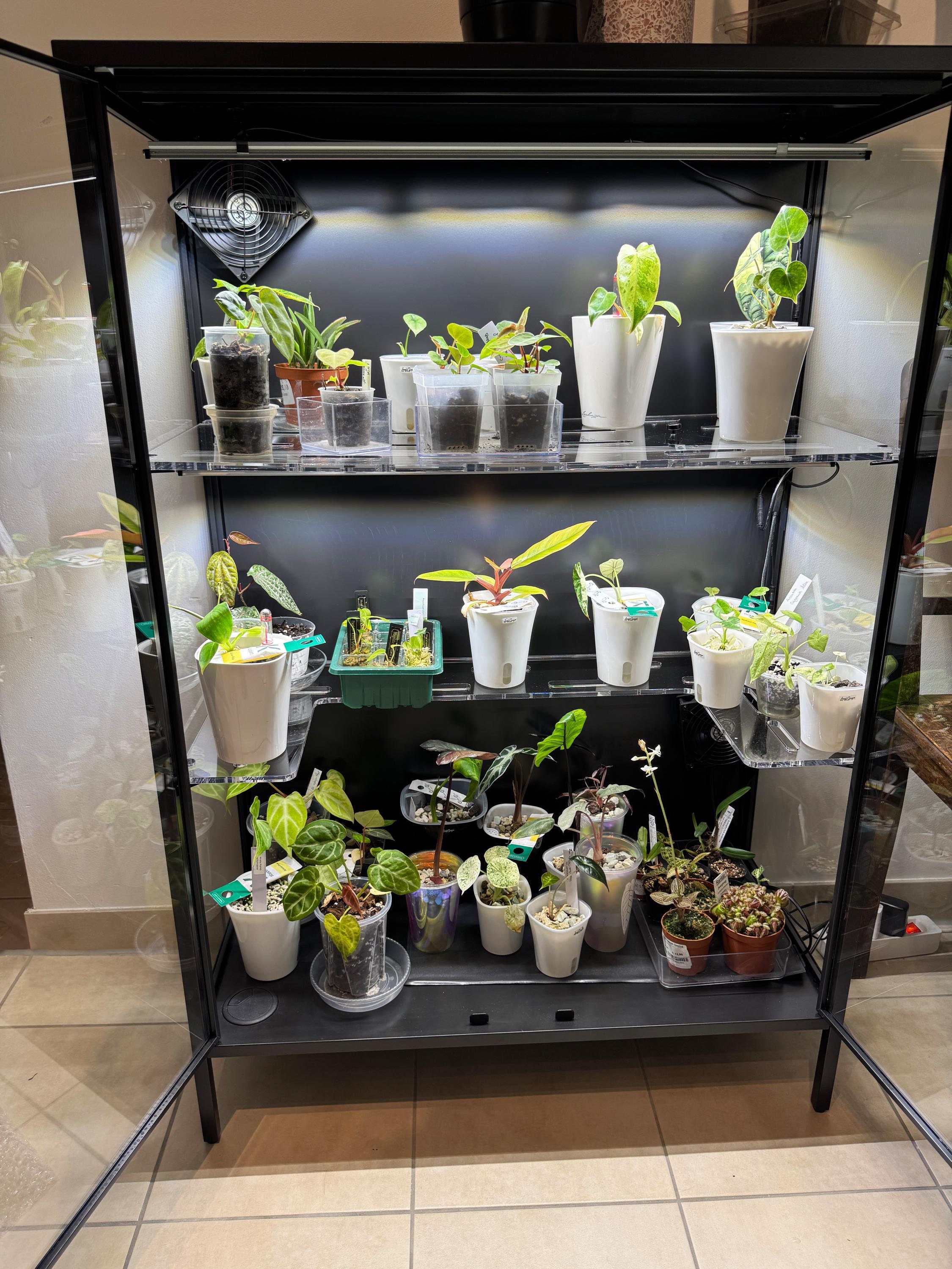 For Rudsta Wide - Greenhouse - Shelves - Plant Insert - Greenhouse