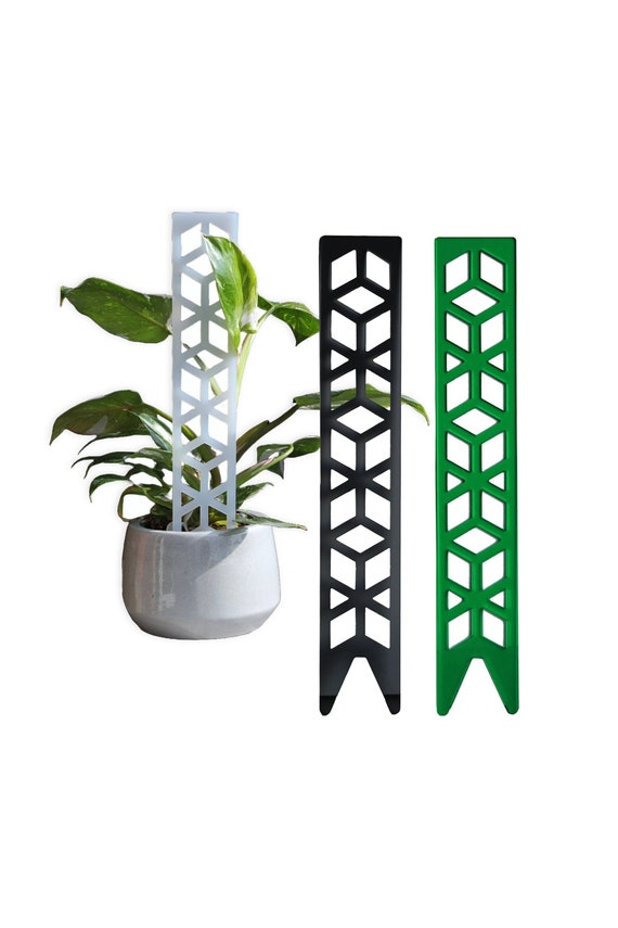 Rankhilfe fr Kletterpflanzen aus Acrylglas - Kletterhilfe - Monstera -  Efeutute - Philodendron - Etsy.de