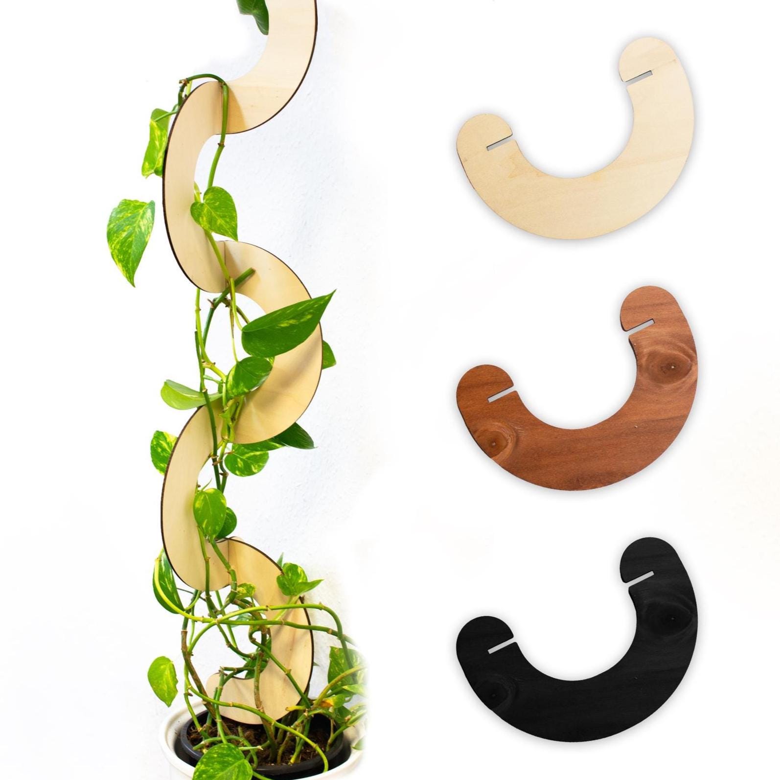 Rankhilfe efeutute wand - Etsy.de