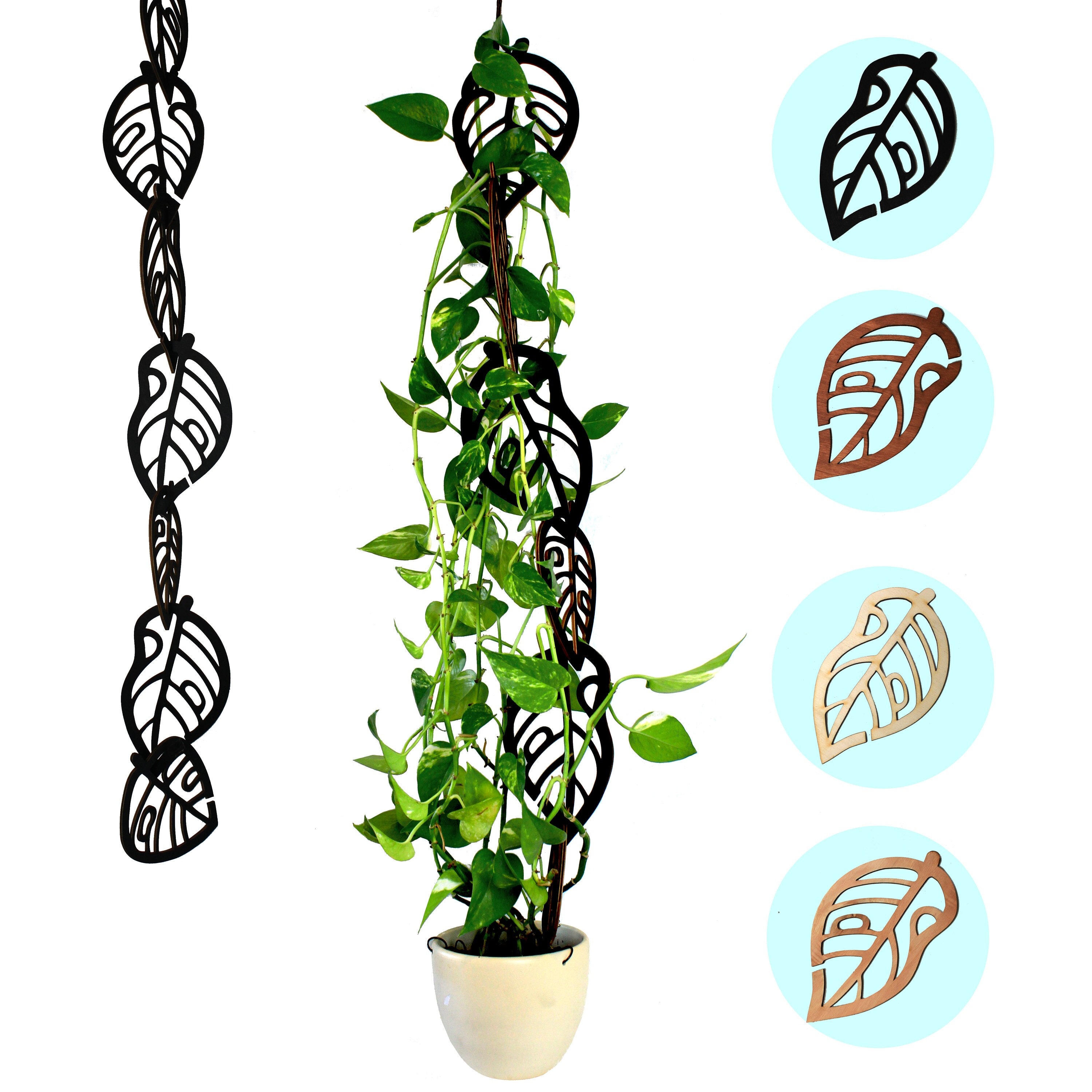 Rankhilfe fr Kletterpflanzen erweiterbar - Kletterhilfe - Monstera -  Efeutute - Philodendron - Etsy.de