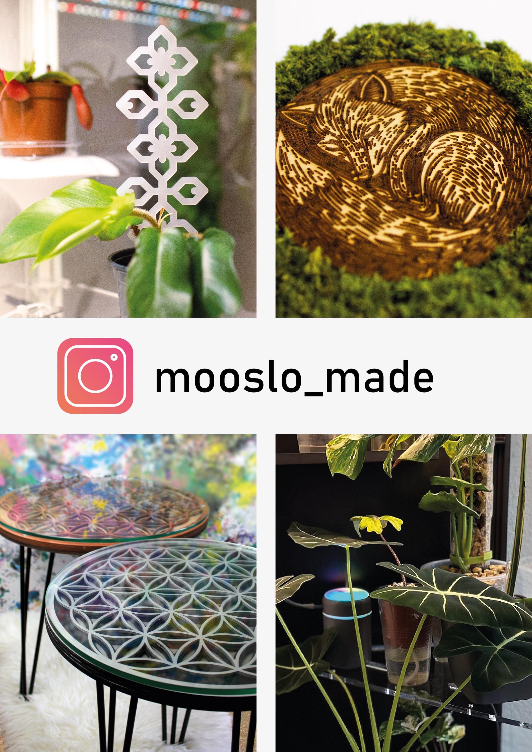 Rankhilfe fr Kletterpflanzen erweiterbar - Kletterhilfe - Monstera -  Efeutute - Philodendron - Etsy.de