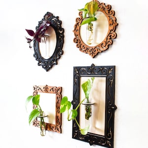 Peut inclure: Quatre jardinières murales décoratives avec des cadres en bois ornés noirs et bruns. Chaque cadre contient une fiole en verre avec une bouture de plante. Les plantes ont des feuilles vertes et violettes. Les cadres sont montés sur un mur blanc.