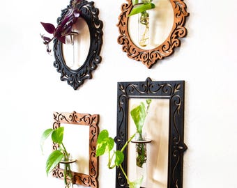Plant frame with test tube | Cutting decoration | Frame | Plant propagation | Display cuttings | Gift for plant lovers