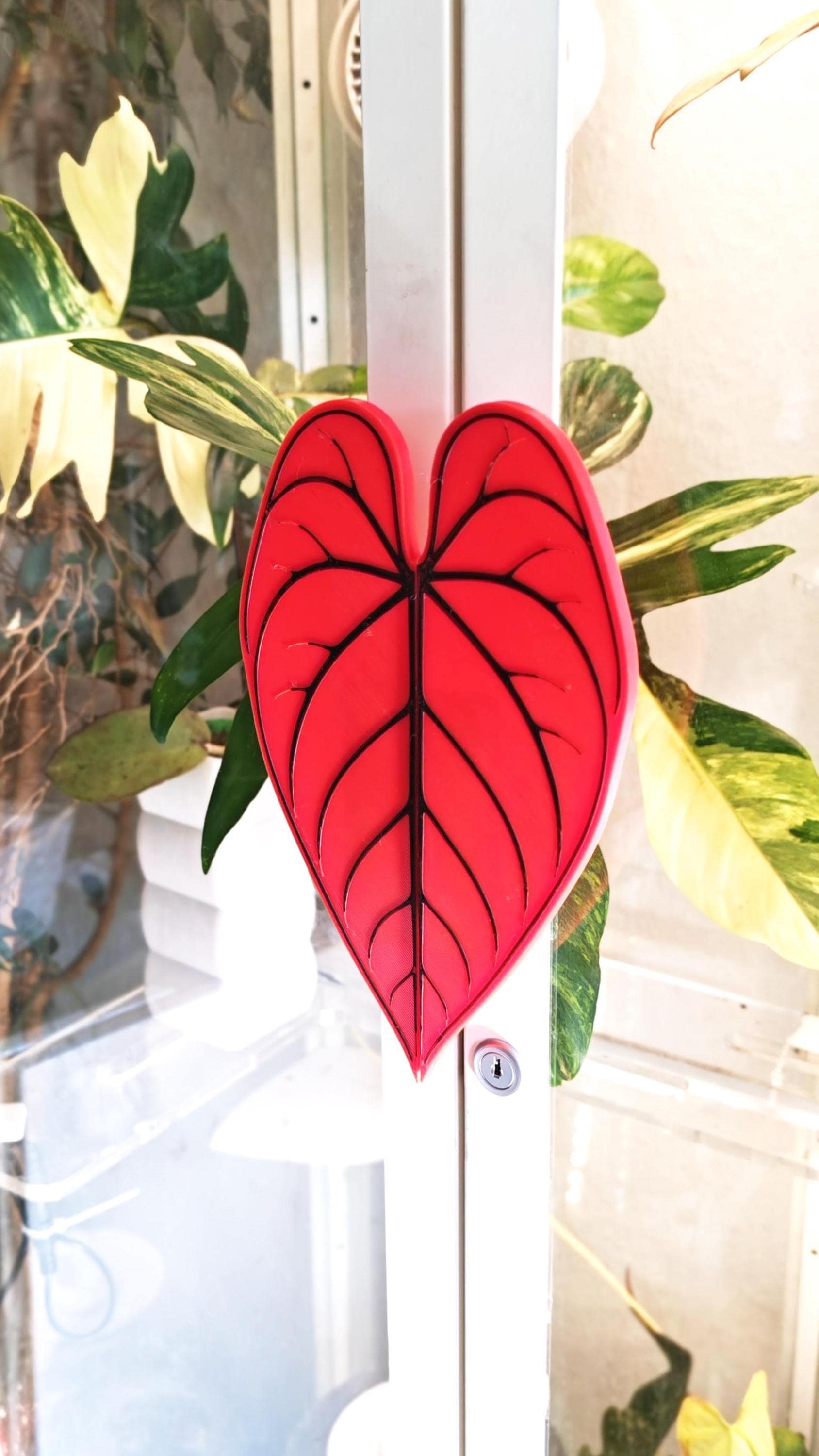 Anthurium silver blush - Etsy 日本