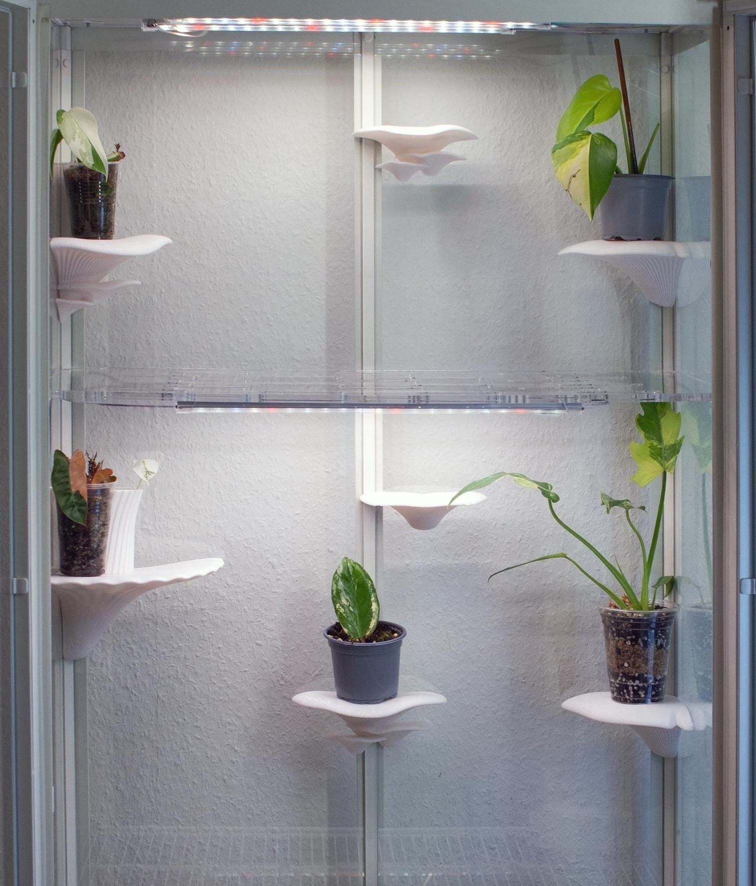 Mushroom-shaped Shelves for IKEA Milsbo Display Cabinet