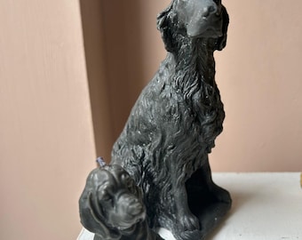 Candela artigianale in cera d'api a forma di cane Setter, confezionata in un pratico pacchetto regalo.