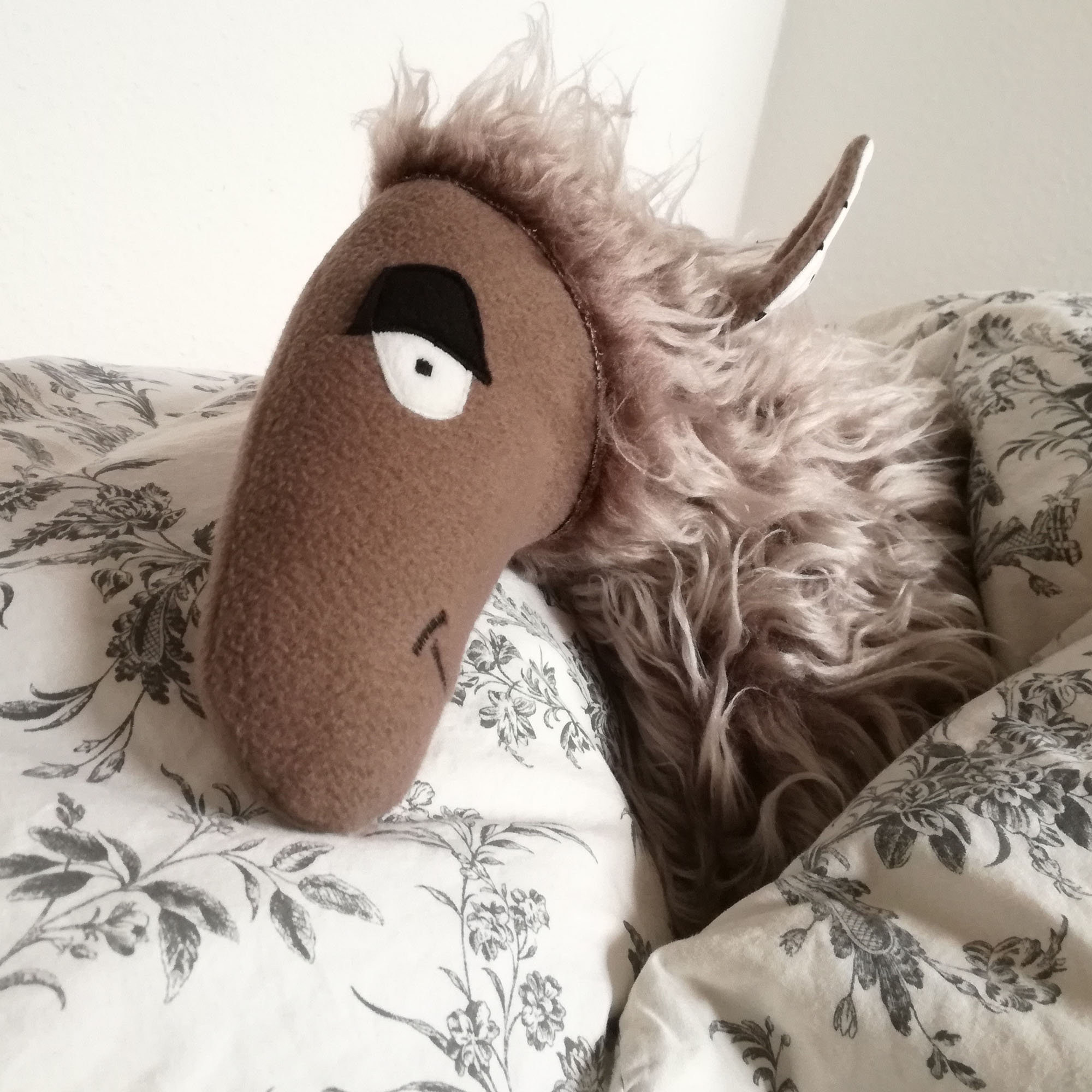 cuddly sheep toy