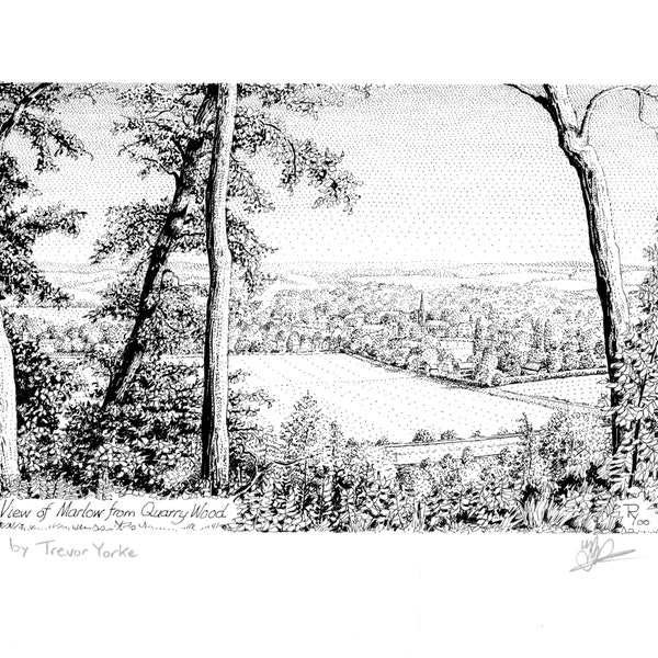 Avis de Marlow de Quarry Woods, Berkshire, Angleterre. Dessin ORIGINAL à la plume et à l'encre avec cadre et frais de port GRATUITS.