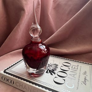 May include: A small, clear glass perfume bottle with a long, pointed stopper, filled with a deep red liquid. The bottle rests on a book titled "COCO CHANEL" by Megan Hess, with a black and white floral design.